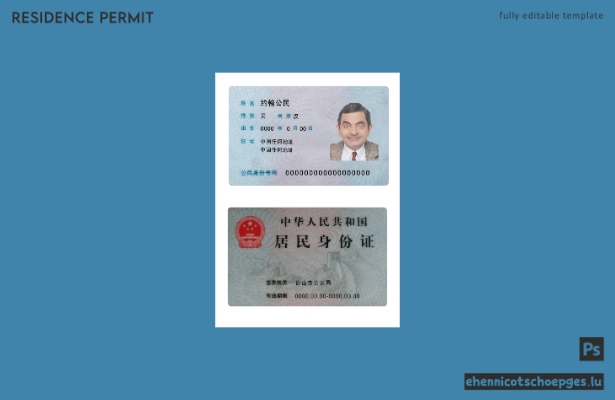 Beispielvorschau der chinesischen Aufenthaltskarte Version 2